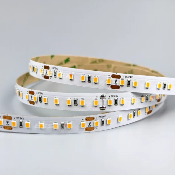 2835 LED Light Strip Waterproof 120LED Outdoor