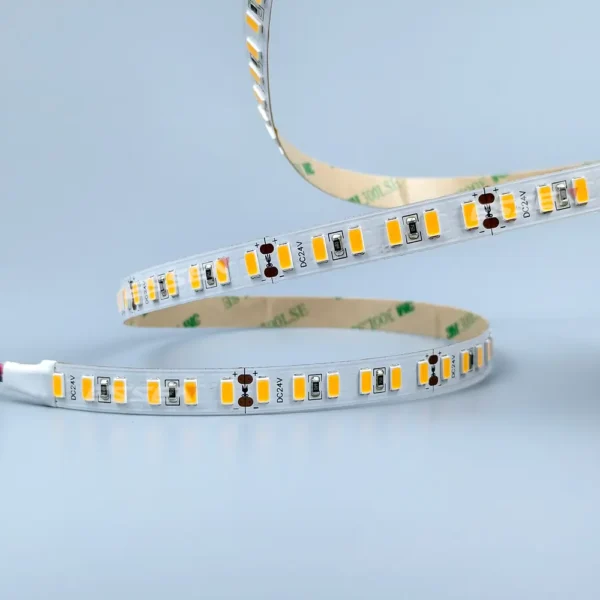 5630 LED strip 5m bianco freddo 6000-6500K