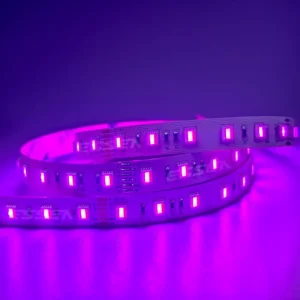 RGBTW 5-in-1 SMD5050 LED Strip Light