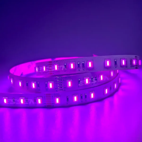 RGBTW 5 în 1 SMD5050 LED Strip Light 5 în 1