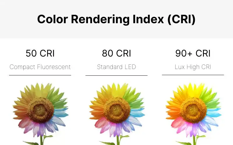 Como escolher o CRI (Color Rendering Index) correto