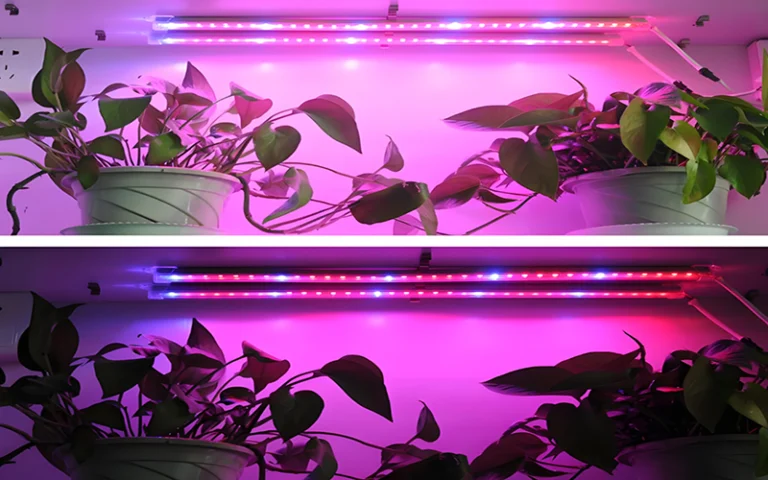 ¿Puedo utilizar tiras de luz LED para cultivar plantas?