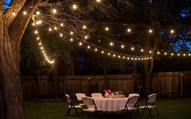 Outdoor LED decorative lighting for landscape and architectural applications